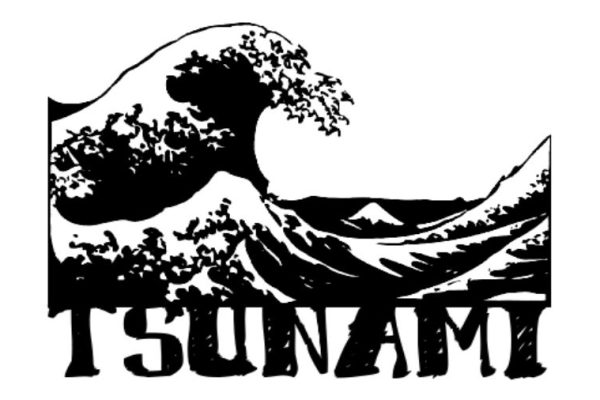 Tsunami de chanes – Andén 81